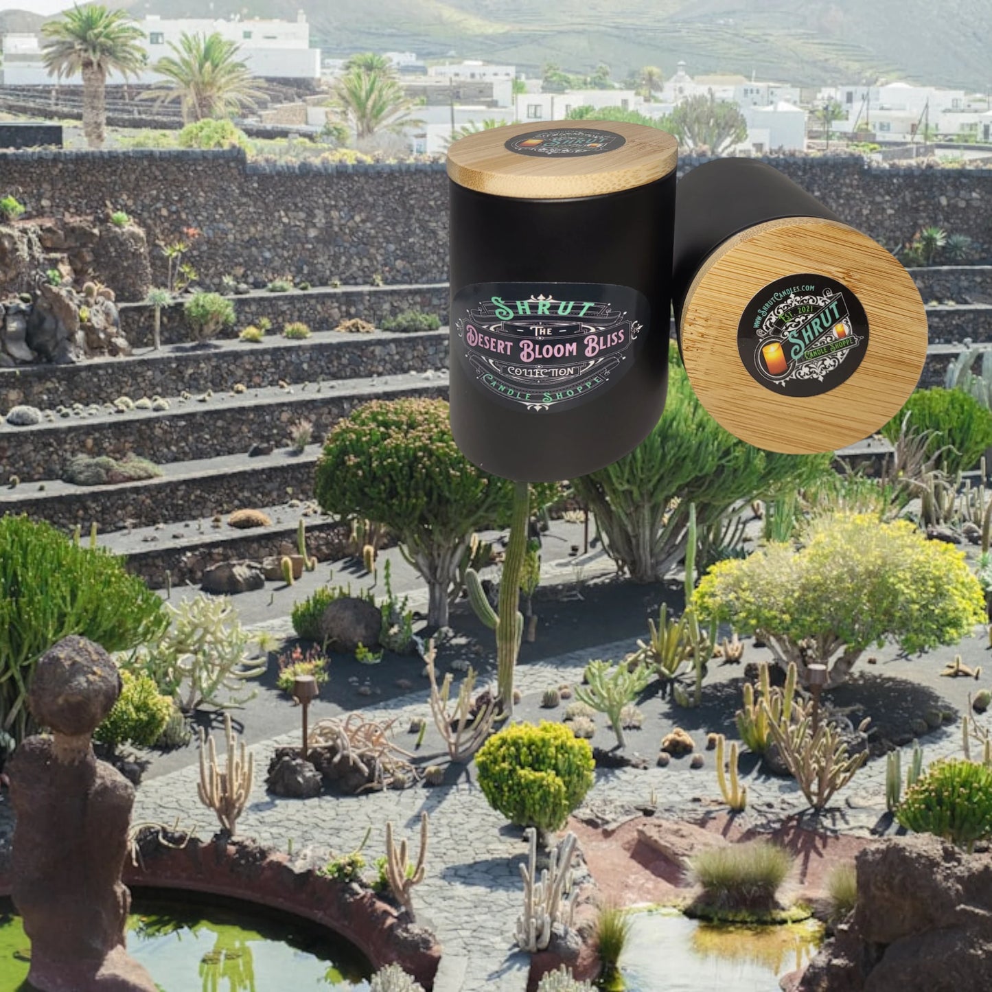 Desert Bloom Bliss: Sunlit Cactus & Vanilla Whispers