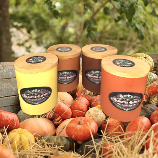 Enchanted Harvest | Fall Fragrance