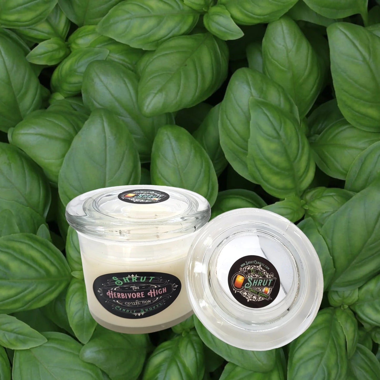 Herbivore High Scented Candle - Discover Serenity