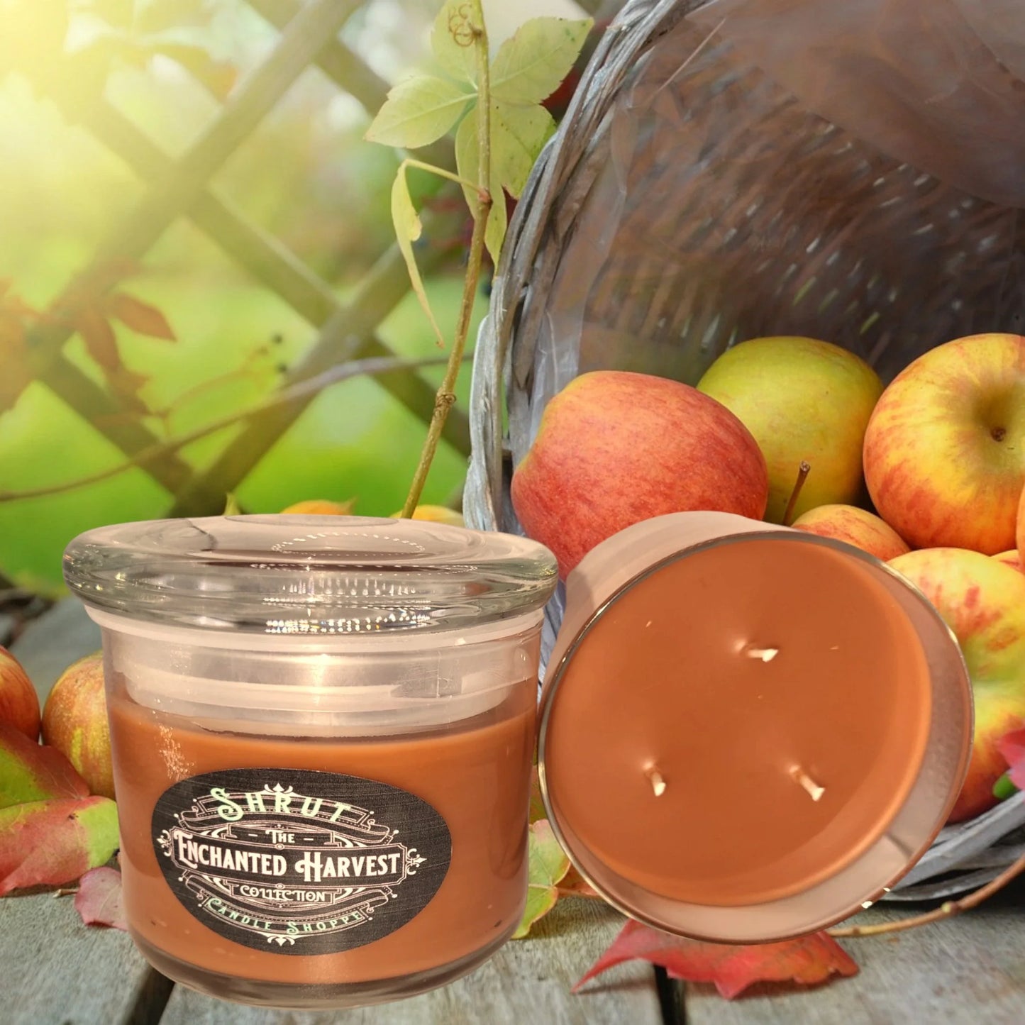 Enchanted Harvest | Fall Fragrance