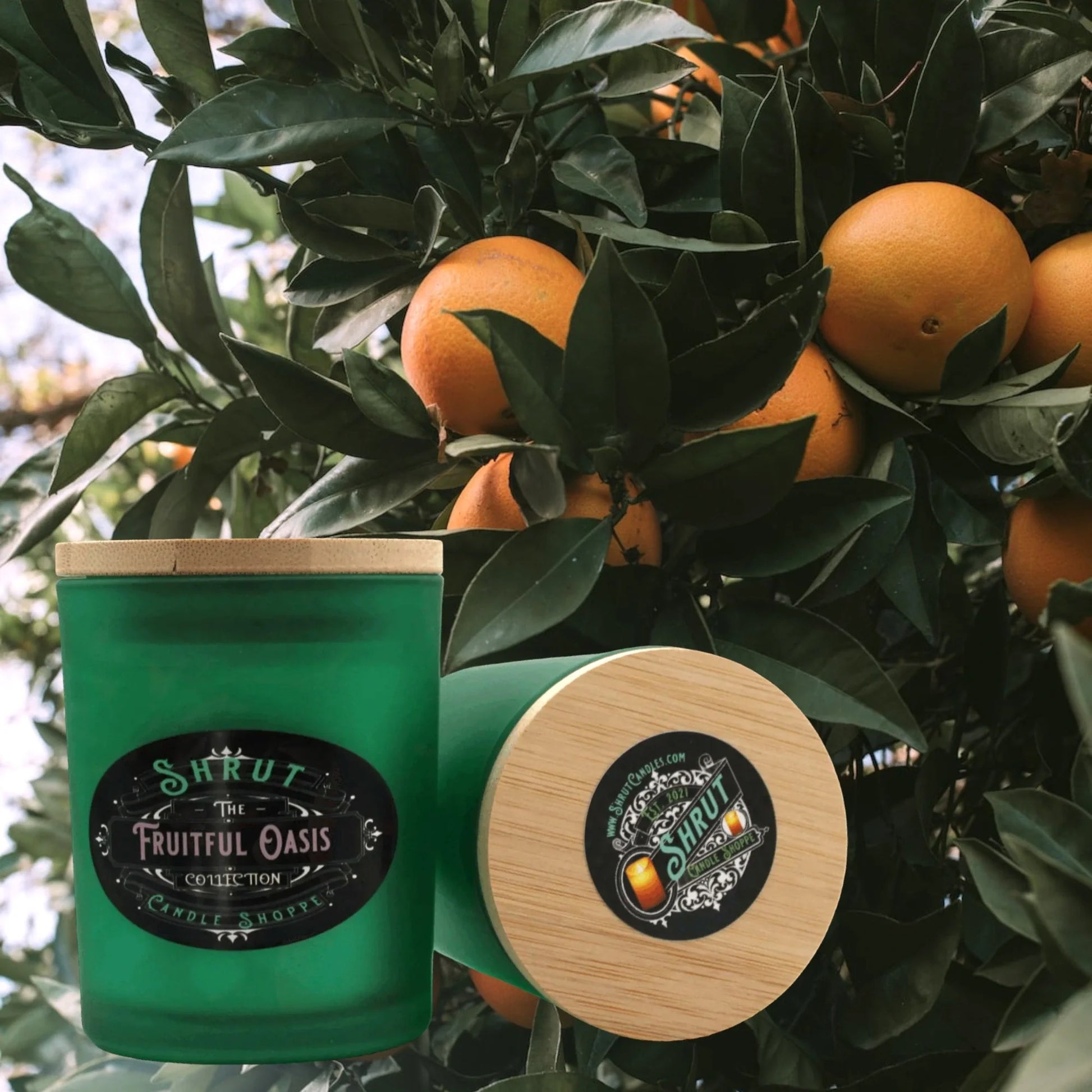 Fruitful Oasis Scented Candle - Escape to a Tropical Paradise