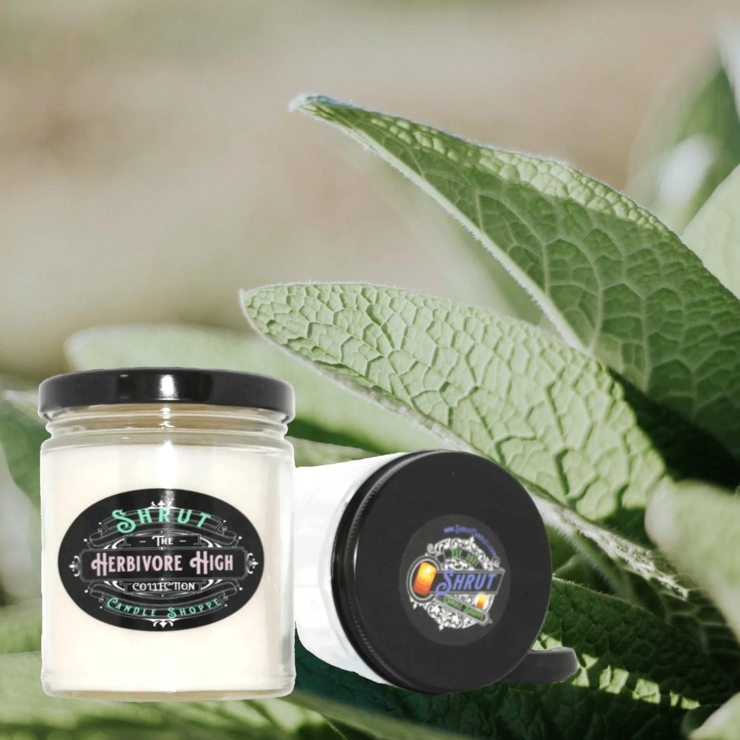 Herbivore High Scented Candle - Discover Serenity