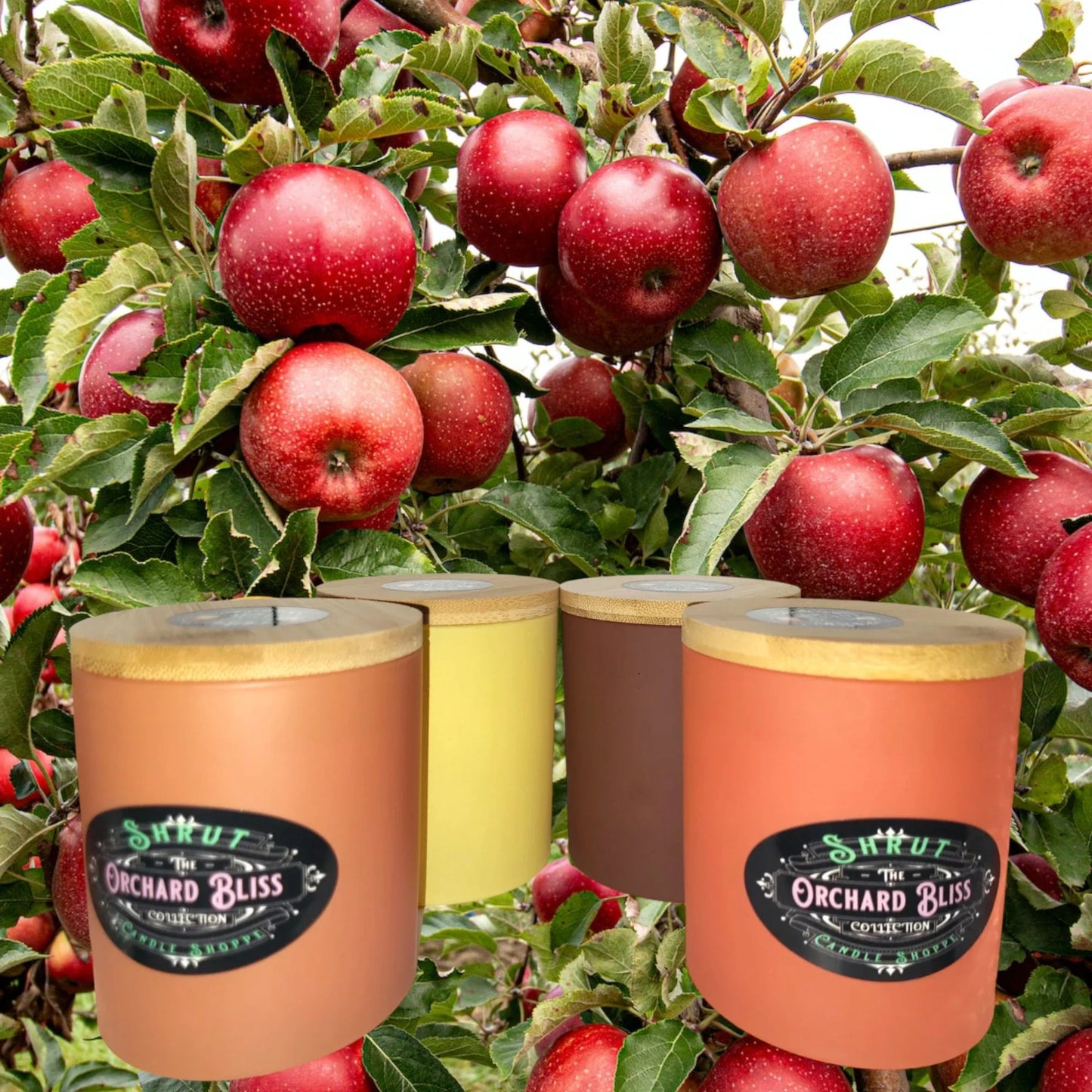 Orchard Bliss | Fall Fragrance