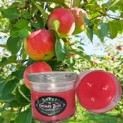 Orchard Bliss | Fall Fragrance