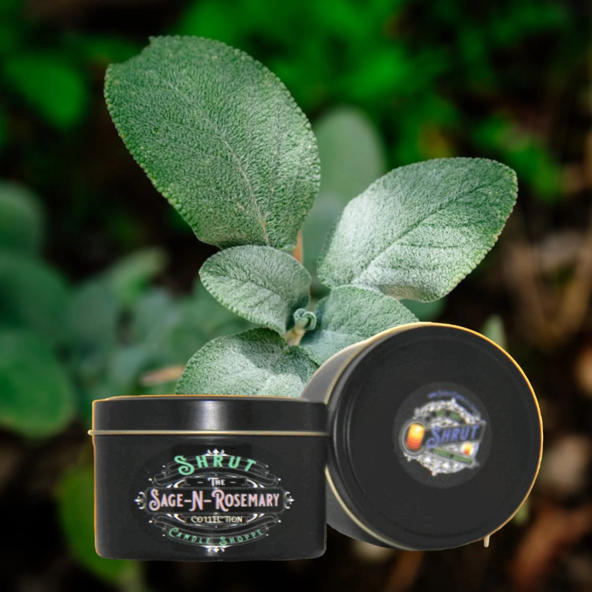 Sage-N-Rosemary Scented Candle - Essence of Nature